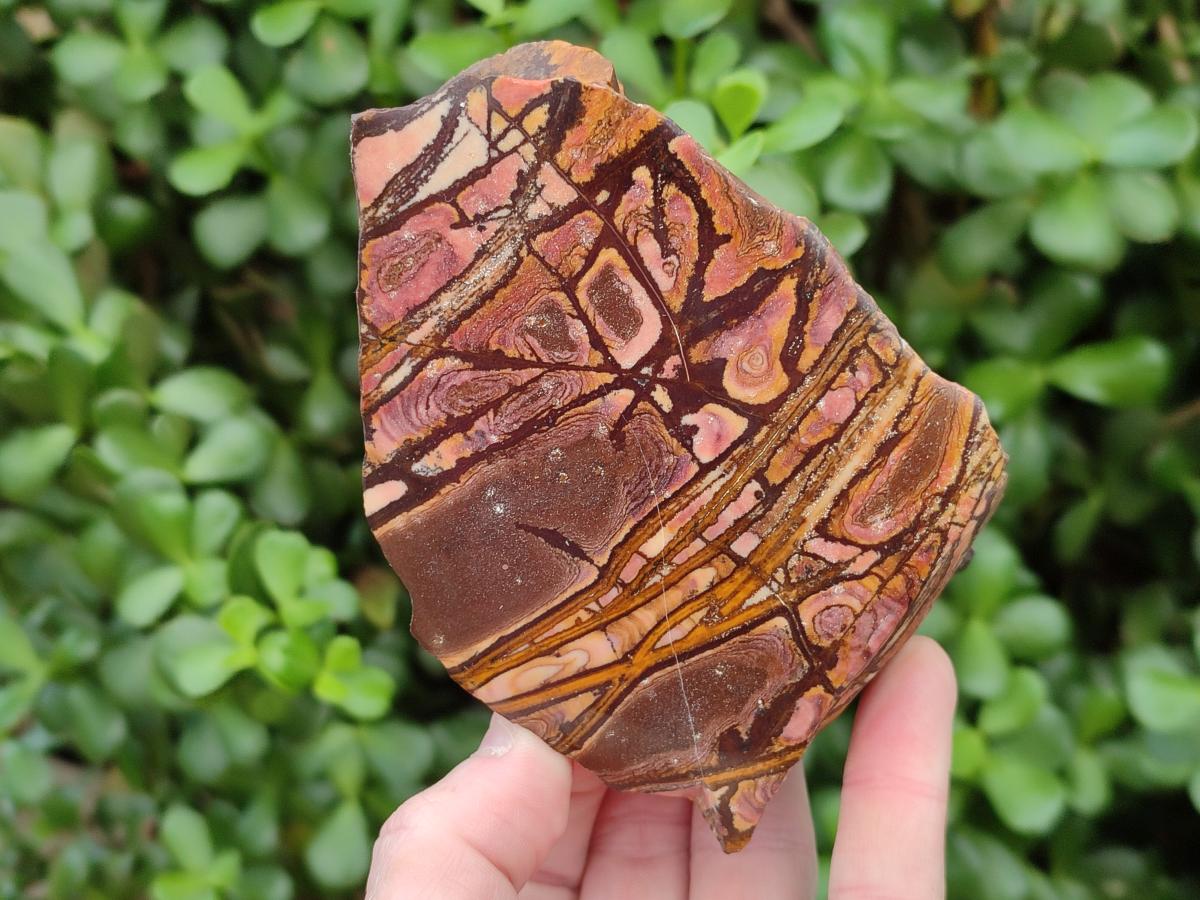 Polished On One Side Nguni and Jupiter Jasper x 3 From Northern Cape, South Africa
