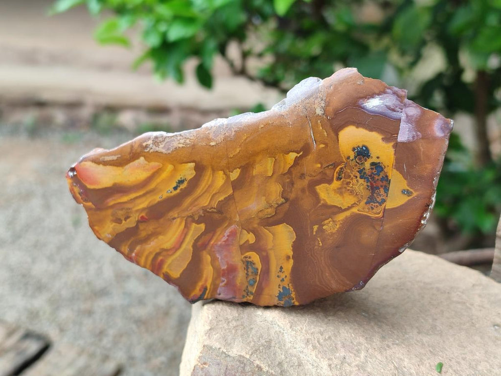 Polished On One Side Nguni and Jupiter Jasper x 3 From Northern Cape, South Africa