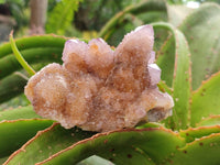 Natural Amethyst and Ametrine Spirit Clusters x 4 From Boekenhouthoek, South Africa