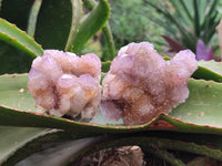 Natural Amethyst and Ametrine Spirit Clusters x 4 From Boekenhouthoek, South Africa