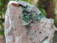 Natural Libethenite Crystals On Dolomite Matrix Specimens x 3 From Shituru, Congo