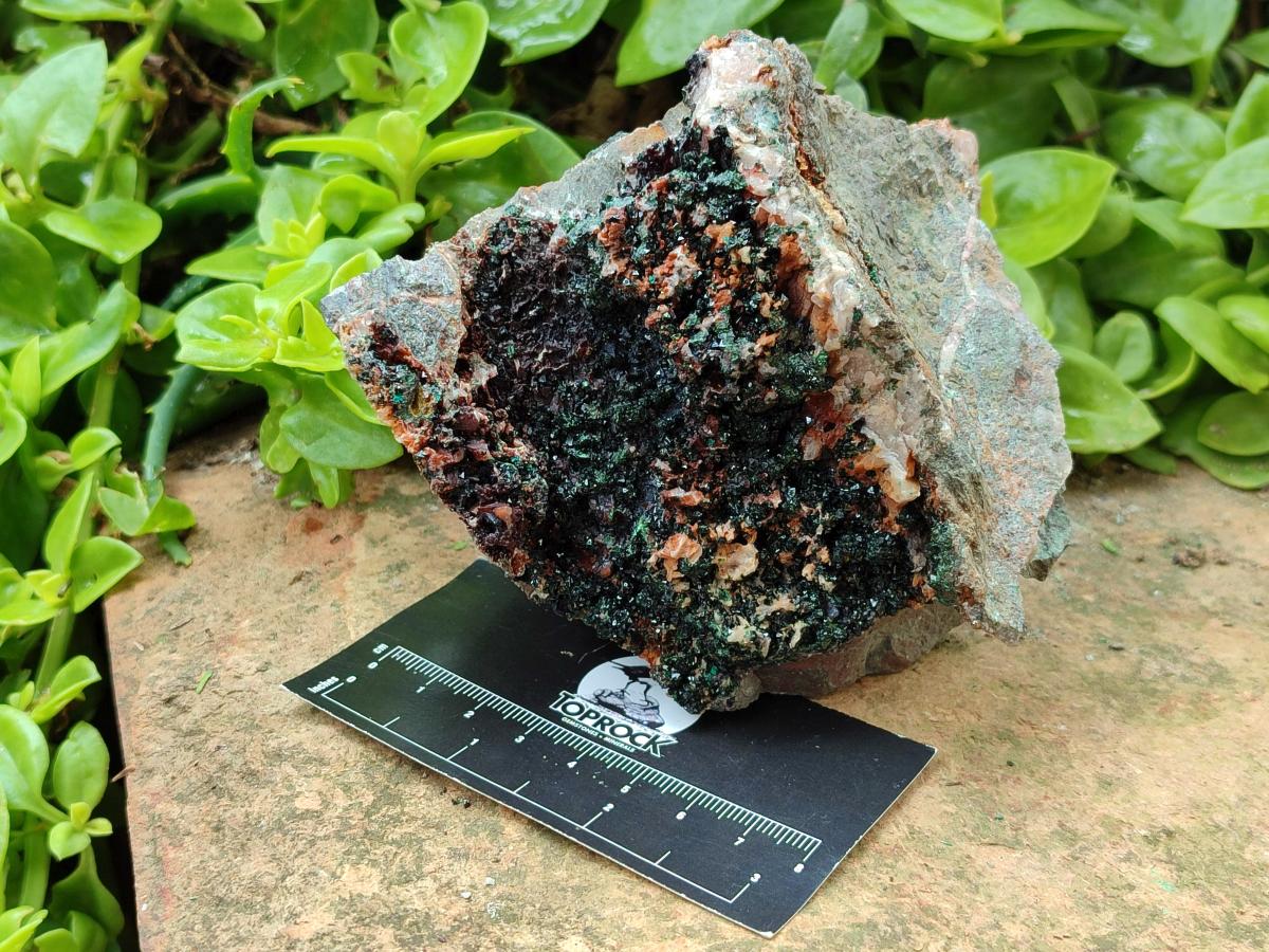 Natural Libethenite Crystals On Dolomite Matrix Specimens x 3 From Shituru, Congo