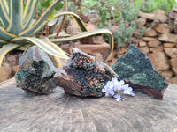 Natural Libethenite Crystals On Dolomite Matrix Specimens x 3 From Shituru, Congo