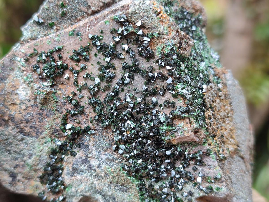 Natural Libethenite Crystals On Dolomite Matrix Specimens x 3 From Shituru, Congo