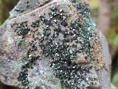 Natural Libethenite Crystals On Dolomite Matrix Specimens x 3 From Shituru, Congo - Toprock Gemstones and Minerals 