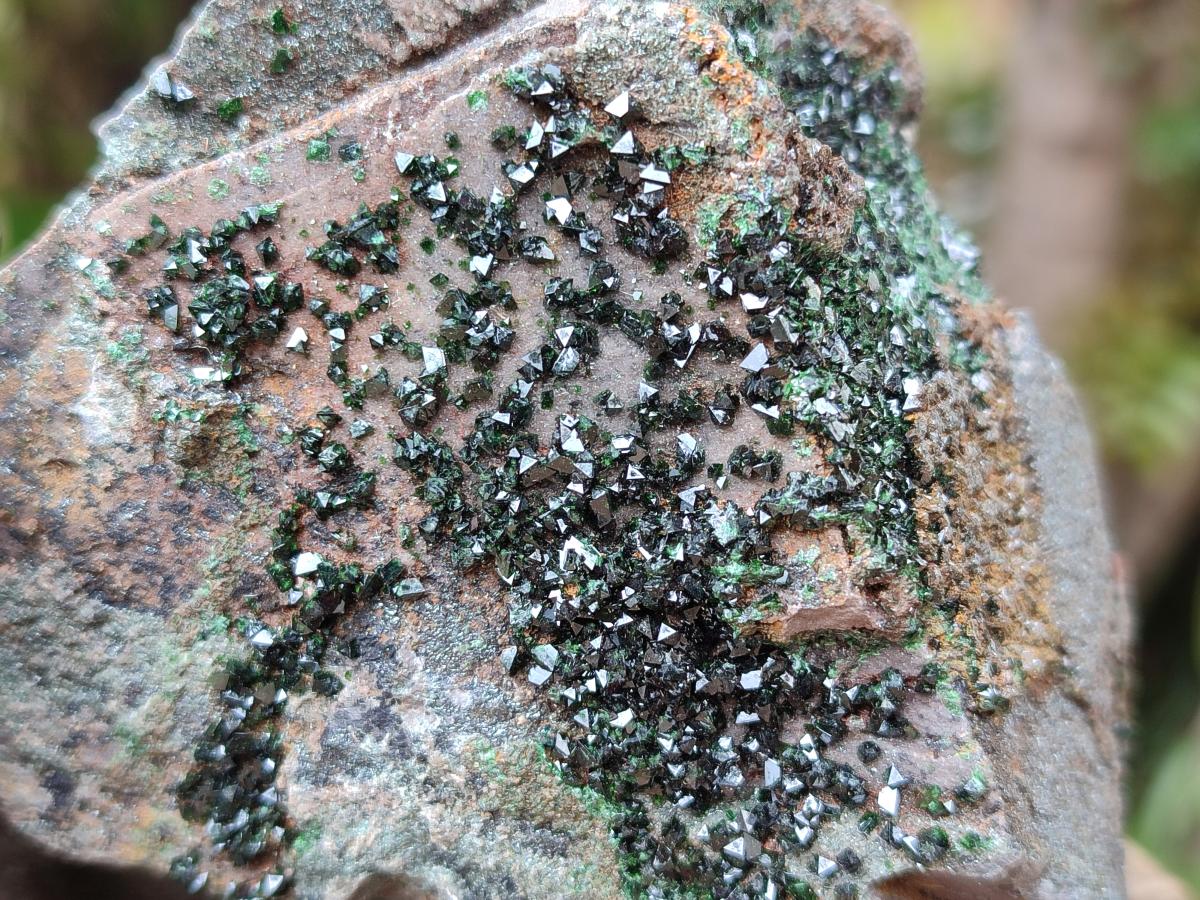 Natural Libethenite Crystals On Dolomite Matrix Specimens x 3 From Shituru, Congo