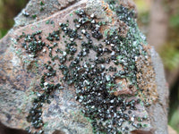 Natural Libethenite Crystals On Dolomite Matrix Specimens x 3 From Shituru, Congo