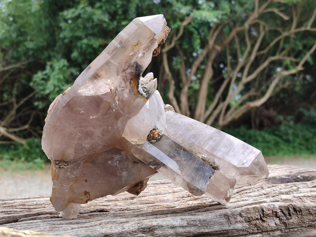 Natural Floater Smokey Quartz with Feldspar Cluster x 1 From Erongo Namibia