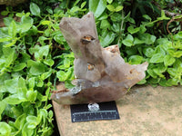 Natural Floater Smokey Quartz with Feldspar Cluster x 1 From Erongo Namibia