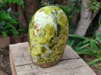 Polished Green Opal Standing Free Form x 1 From Betroka, Madagascar