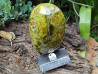 Polished Green Opal Standing Free Form x 1 From Betroka, Madagascar