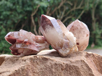 Natural Red Hematoid Quartz Crystal Clusters x 12 From Karoi, Zimbabwe