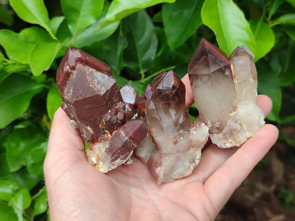 Natural Red Hematoid Quartz Crystal Clusters x 12 From Karoi, Zimbabwe