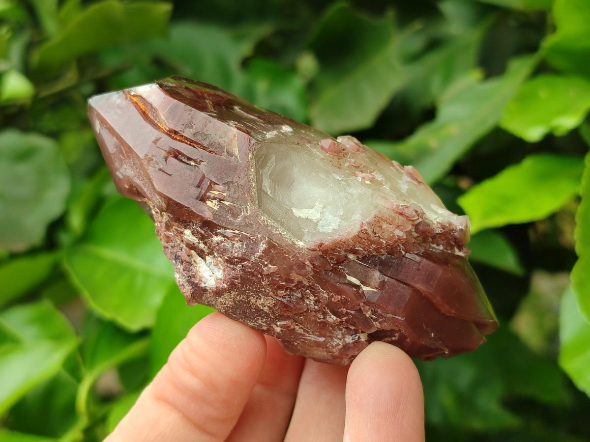 Natural Red Hematoid Quartz Crystal Clusters x 12 From Karoi, Zimbabwe