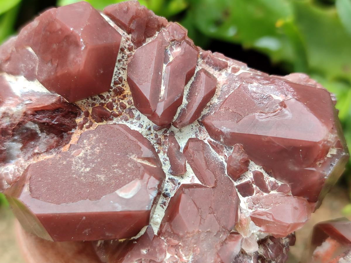 Natural Red Hematoid Quartz Crystal Clusters x 12 From Karoi, Zimbabwe