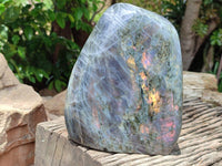 Polished Rare Purple Sunset Labradorite Standing Free Form x 1 From Tulear, Madagascar