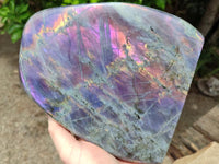 Polished Rare Purple Sunset Labradorite Standing Free Form x 1 From Tulear, Madagascar