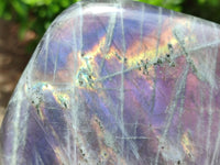 Polished Rare Purple Sunset Labradorite Standing Free Form x 1 From Tulear, Madagascar