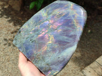 Polished Rare Purple Sunset Labradorite Standing Free Form x 1 From Tulear, Madagascar