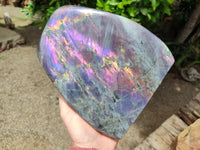 Polished Rare Purple Sunset Labradorite Standing Free Form x 1 From Tulear, Madagascar