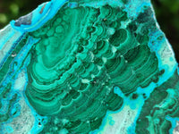 Polished Malacolla Slices x 6 From Kulukuluku, Congo