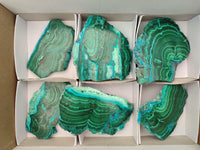 Polished Malacolla Slices x 6 From Kulukuluku, Congo