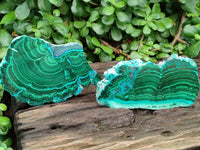 Polished Malacolla Slices x 6 From Kulukuluku, Congo