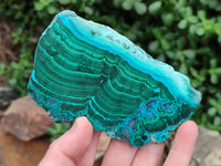 Polished Malacolla Slices x 6 From Kulukuluku, Congo