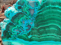 Polished Malacolla Slices x 6 From Kulukuluku, Congo