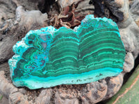 Polished Malacolla Slices x 6 From Kulukuluku, Congo