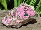 Natural XL Salrose Cobaltion Dolomite Specimens with Silky Malachite Crystals x 1 From Kakanda, Congo