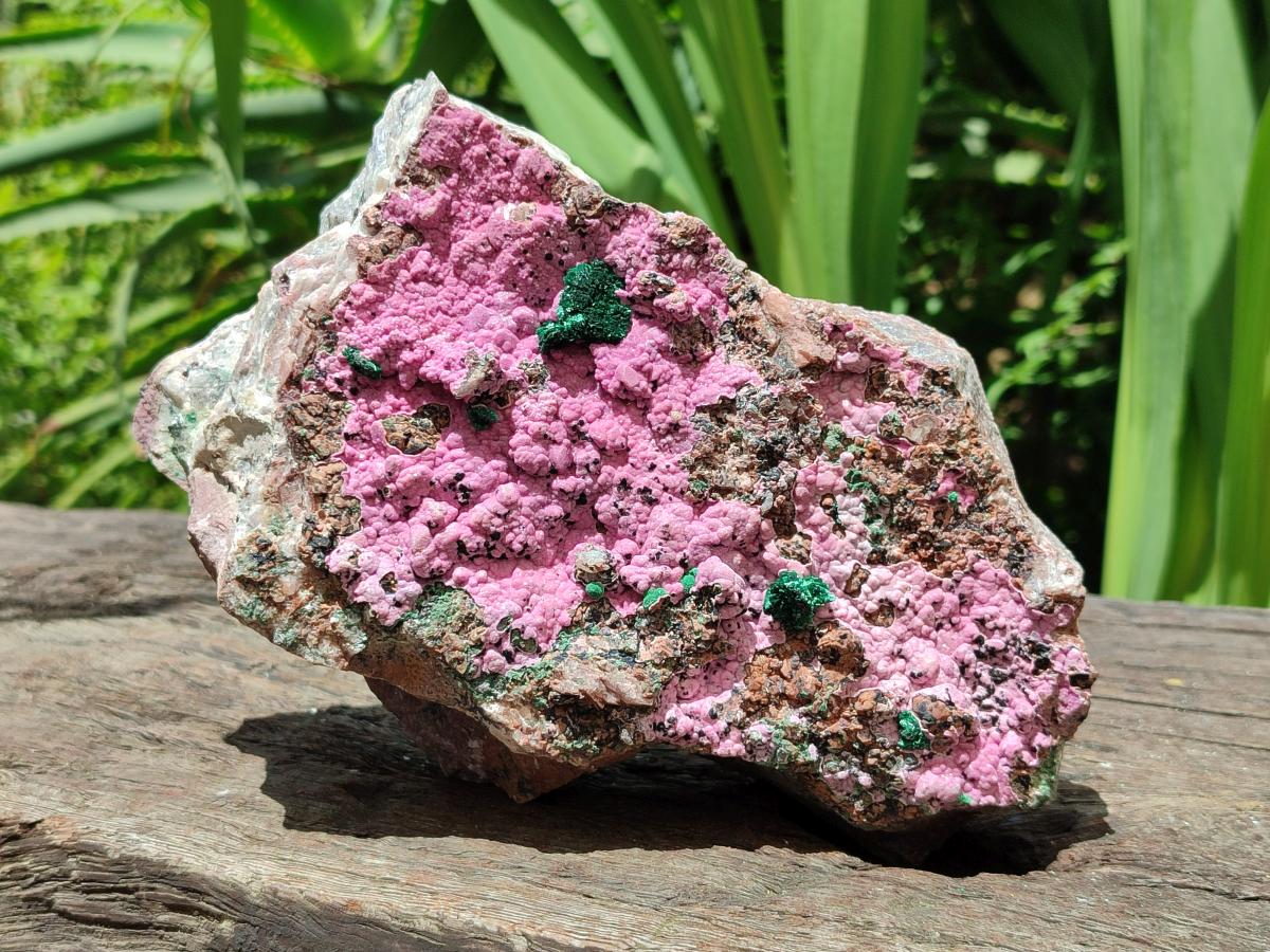 Natural XL Salrose Cobaltion Dolomite Specimens with Silky Malachite Crystals x 1 From Kakanda, Congo