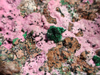 Natural XL Salrose Cobaltion Dolomite Specimens with Silky Malachite Crystals x 1 From Kakanda, Congo
