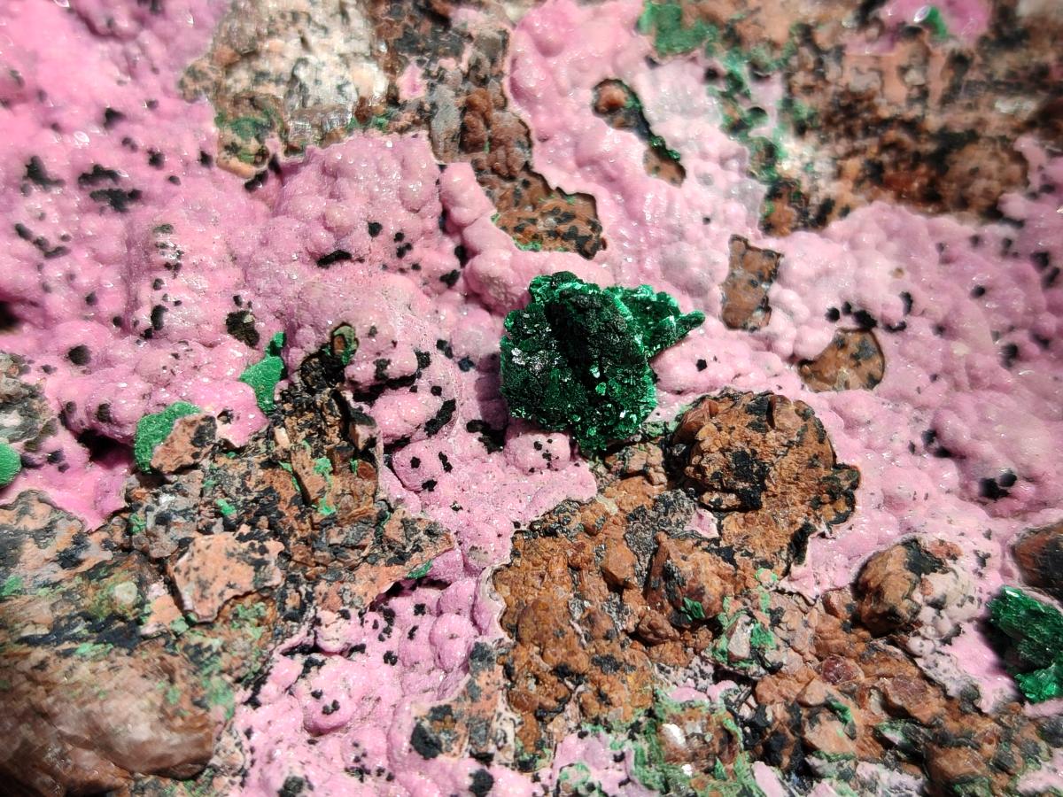 Natural XL Salrose Cobaltion Dolomite Specimens with Silky Malachite Crystals x 1 From Kakanda, Congo