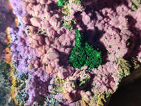 Natural XL Salrose Cobaltion Dolomite Specimens with Silky Malachite Crystals x 1 From Kakanda, Congo