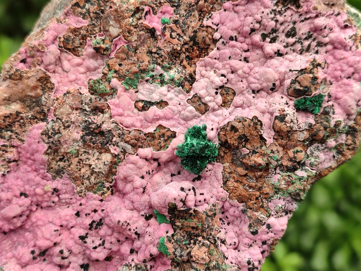 Natural XL Salrose Cobaltion Dolomite Specimens with Silky Malachite Crystals x 1 From Kakanda, Congo