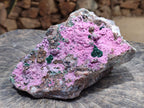 Natural XL Salrose Cobaltion Dolomite Specimens with Silky Malachite Crystals x 1 From Kakanda, Congo