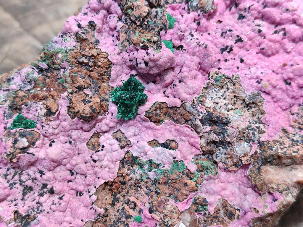 Natural XL Salrose Cobaltion Dolomite Specimens with Silky Malachite Crystals x 1 From Kakanda, Congo