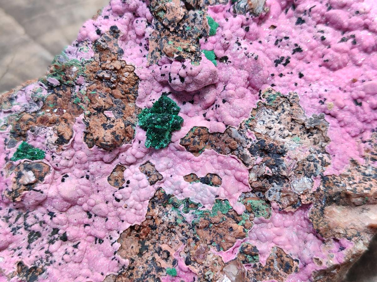 Natural XL Salrose Cobaltion Dolomite Specimens with Silky Malachite Crystals x 1 From Kakanda, Congo