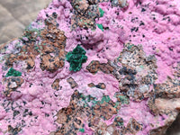 Natural XL Salrose Cobaltion Dolomite Specimens with Silky Malachite Crystals x 1 From Kakanda, Congo