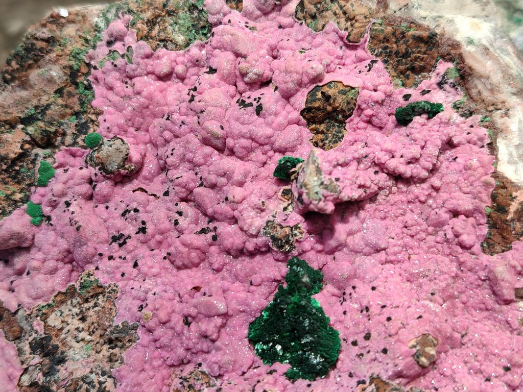Natural XL Salrose Cobaltion Dolomite Specimens with Silky Malachite Crystals x 1 From Kakanda, Congo