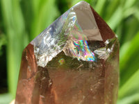 Polished Wispy Smokey Phantom Quartz Crystals x 4 From Madagascar