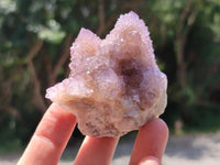 Natural Lilac Amethyst Spirit Clusters x 12 From Boekenhouthoek, South Africa