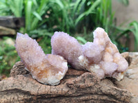 Natural Lilac Amethyst Spirit Clusters x 12 From Boekenhouthoek, South Africa