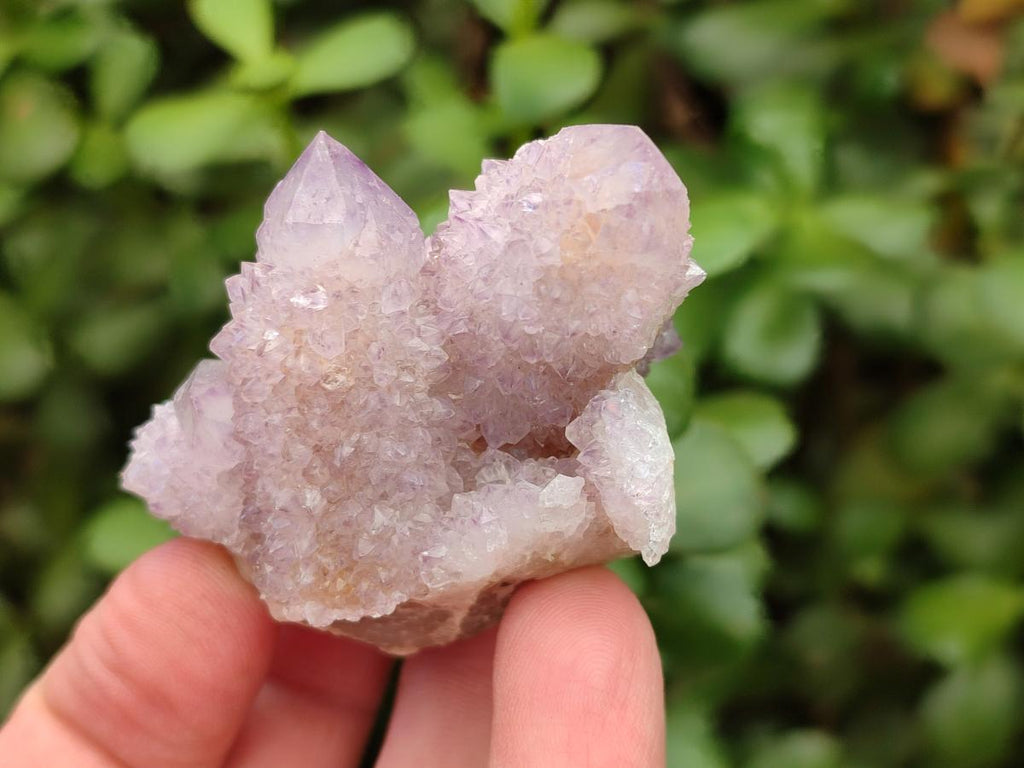 Natural Lilac Amethyst Spirit Clusters x 12 From Boekenhouthoek, South Africa