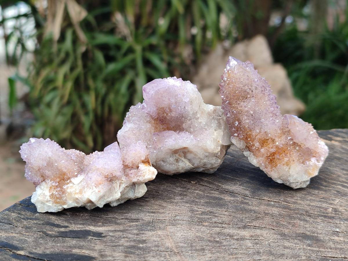 Natural Lilac Amethyst Spirit Clusters x 12 From Boekenhouthoek, South Africa