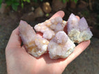 Natural Lilac Amethyst Spirit Clusters x 12 From Boekenhouthoek, South Africa
