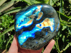 Polished Labradorite Standing Free Form x 1 From Tulear, Madagascar