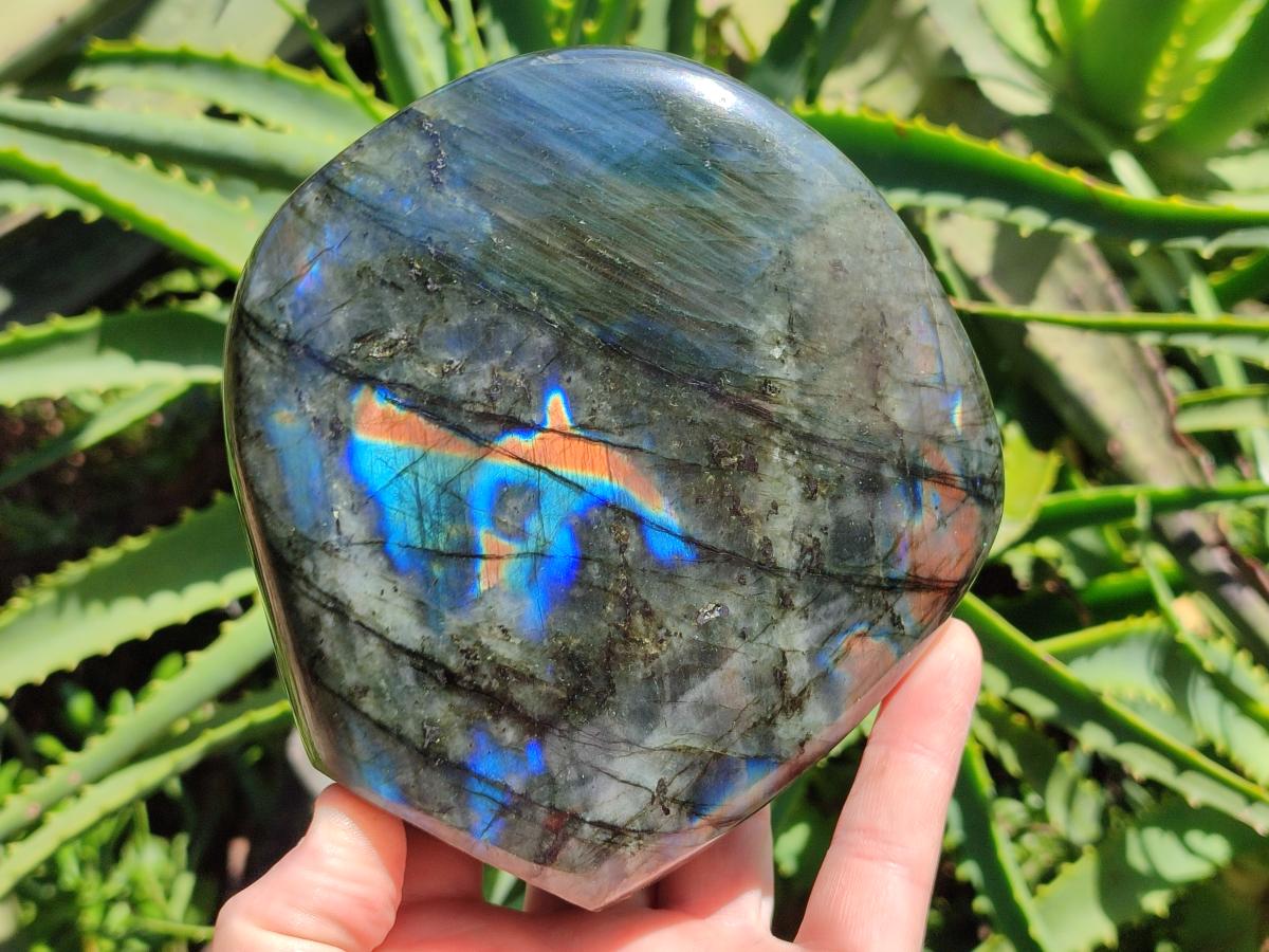 Polished Labradorite Standing Free Form x 1 From Tulear, Madagascar