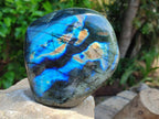 Polished Labradorite Standing Free Form x 1 From Tulear, Madagascar
